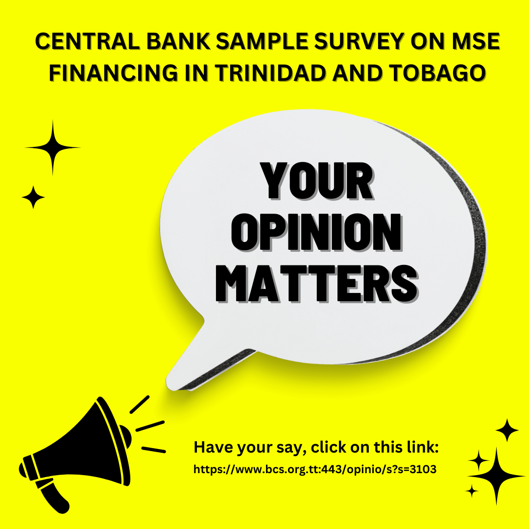 Central Bank Sample Survey On MSE Financing In Trinidad and Tobago